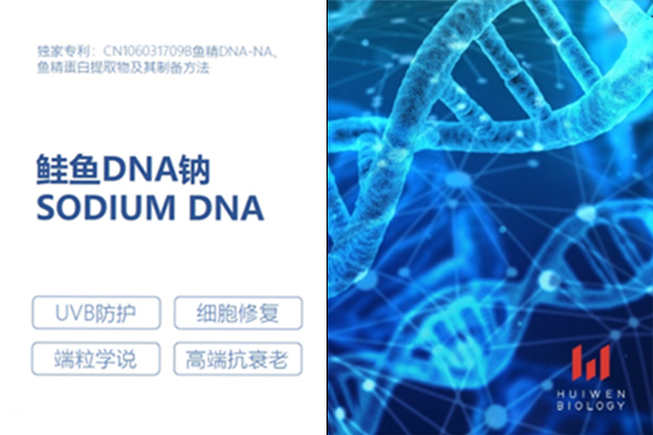 鮭魚 DNA(PDRN)鈉震撼登場！